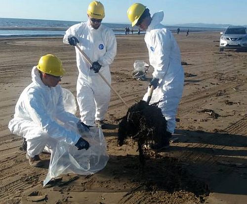 У Александровска-Сахалинского началась уборка морского побережья от нефтепродуктов