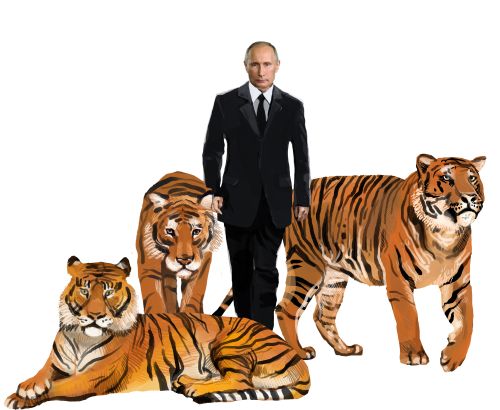 Путин и тигры