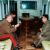 Политика Ким Чен Ира и секрет ее успеха