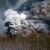 На Камчатке из-за извержения вулкана Шивелуч - пеплопад