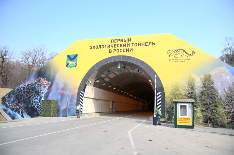 Первый в России экологический Нарвинский тоннель открыли в Приморье