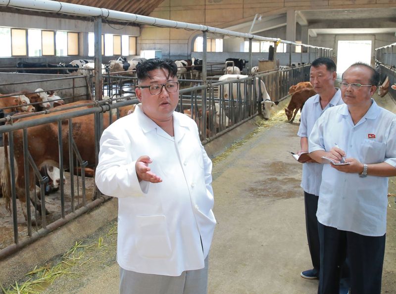 Уважаемый Ким Чен Ын руководит на месте работой животноводческого комплекса. Август 107 г. чучхе (2018).