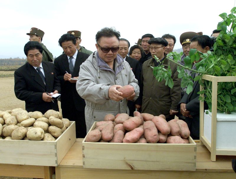 Ким Чен Ир ознакомляется с видами на урожай картофеля.
Октябрь 91 г. чучхе (2002).