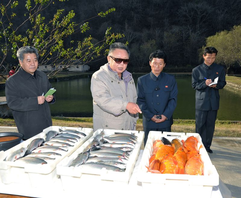Ким Чен Ир руководит на месте делами рыбоводческой фермы. Ноябрь 100 г. чучхе (2011).