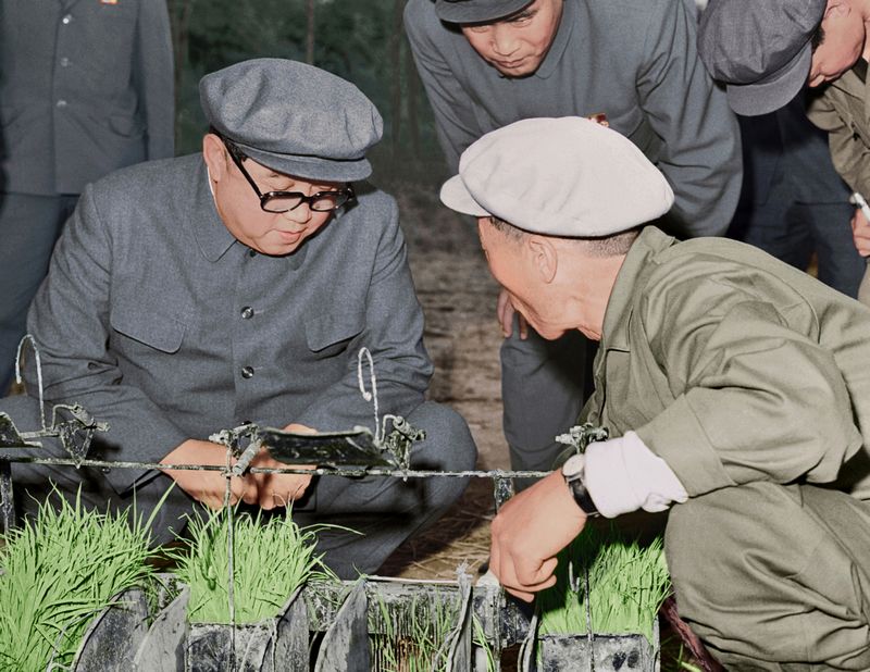 Ким Ир Сен ознакомляется с новой сельхозмашиной. Май 62 года чучхе (1973).