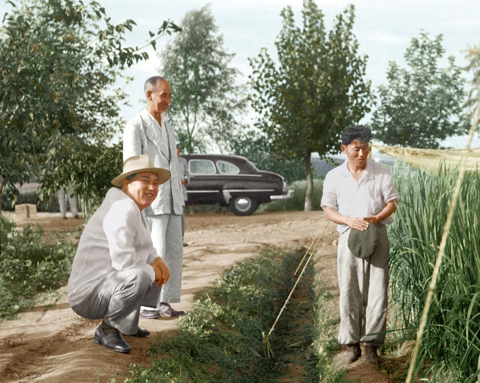 С доктором наук Ке Ын Саном на рисовом поле Комитета сельскохозяйственных наук. Сентябрь 1962 года.