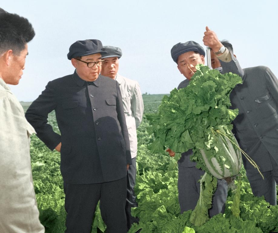 В Чанчхонском сельхозкооперативе Садонского района. Октябрь 1969 года.