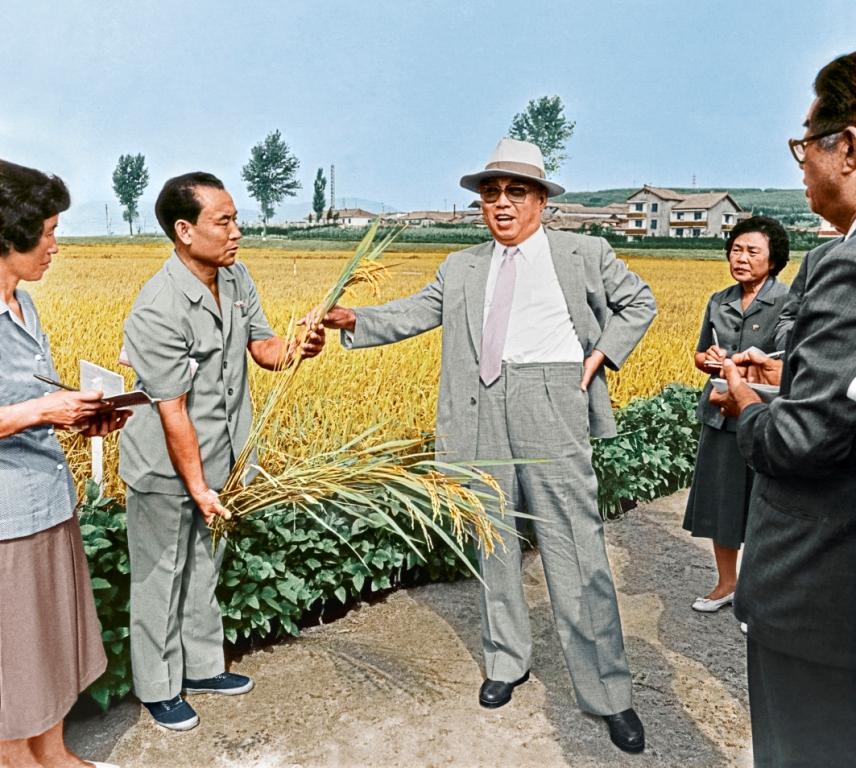 В Чхонсанском сельхозкооперативе Кансоского района. Сентябрь 1987 года.